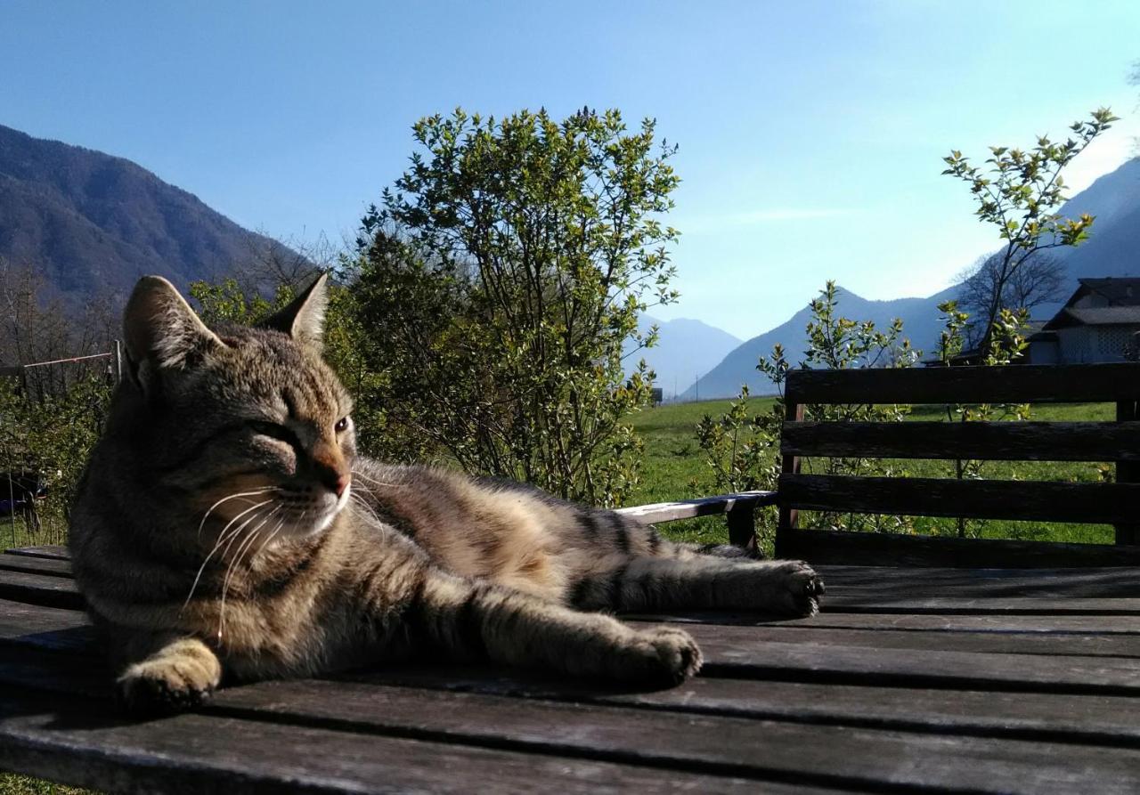 Agritur Airone Bed & Camping Levico Terme Exterior foto