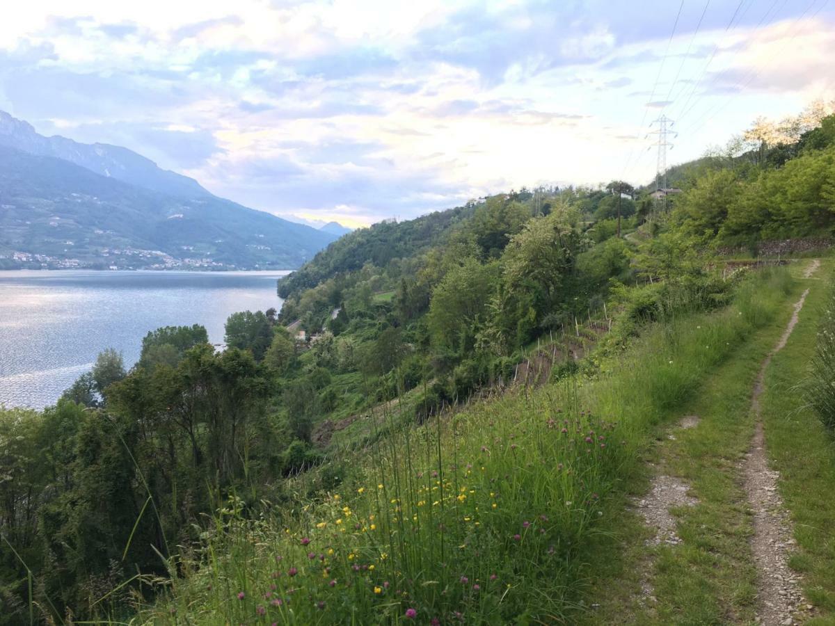 Agritur Airone Bed & Camping Levico Terme Exterior foto