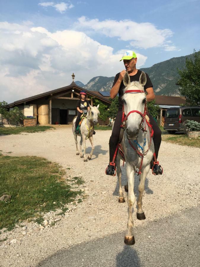 Agritur Airone Bed & Camping Levico Terme Exterior foto