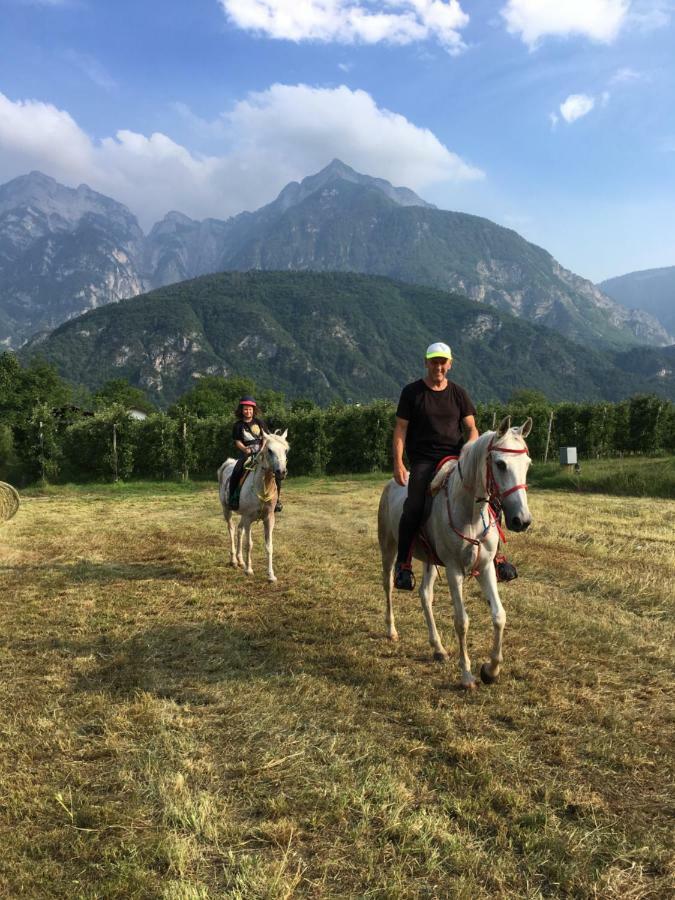 Agritur Airone Bed & Camping Levico Terme Exterior foto